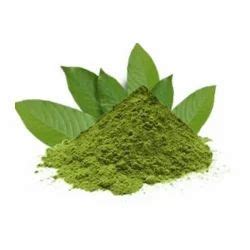 Herbal Extract and Herbal Powder Manufacturer | Vital Herbs, New Delhi
