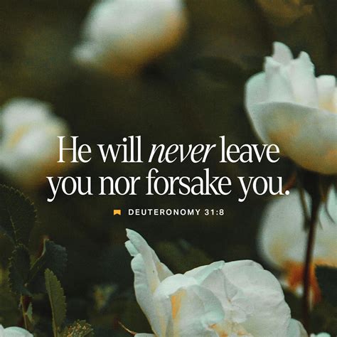 Deuteronomy 31:8 The LORD himself goes before you and will be with you ...