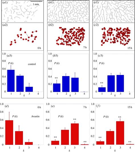 Codification Process 的图像结果