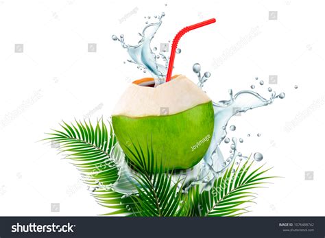 Coconut Water White Can