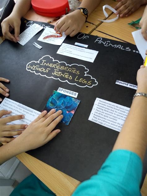 Image result for 7 Class Science Project