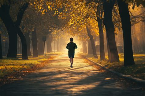 Regular Exercise 的图像结果