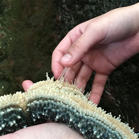 SEA Discovery Center (Poulsbo) - All You Need to Know BEFORE You Go