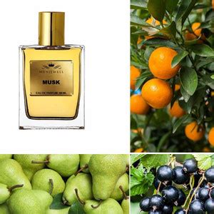 Buy Menjewell Musk Perfume For Women|Best Gifts For Everyday Use|Long ...