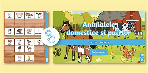 Animalele domestice și puii lor – Joc online de asociere