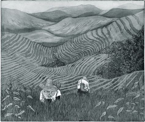 Java Rice Drawing 的图像结果