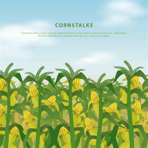 Corn Field Vector 的图像结果