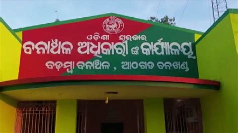 Another elephant skeleton unearthed from Badamba forest range; Ranger ...