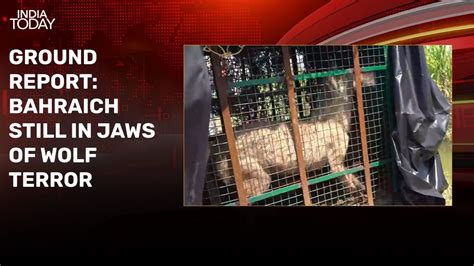 Power woes force locals to sleep outdoors in wolf-terrorised Bahraich ...