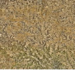 Olmsted County Property Information - Map Search