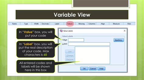 Image result for Coding Datasets in SPSS