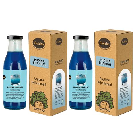 Gulabs Pudina Mint lemon syrup for sharbat, mocktails, cocktails (Pack ...