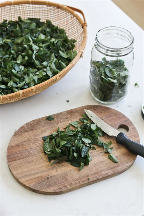 Image result for Mint Tutorial