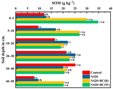 Effects of Biochar Applied in Either Rice or Wheat Seasons on the ...
