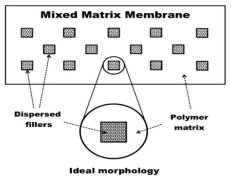 Challenges, Opportunities and Future Directions of Membrane Technology ...