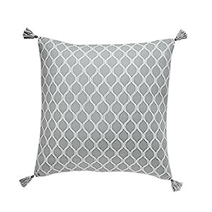 Buy Croscill Eleyana Euro Sham 26X26 Online at Low Prices in India ...