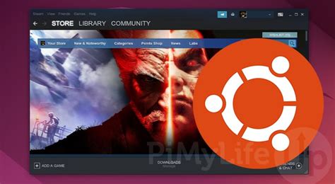 Install Steam Ubuntu 的图像结果