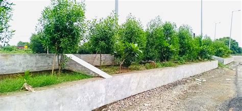 Bareilly Development Authority