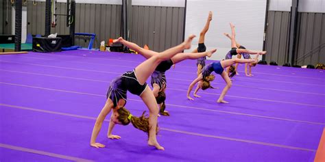 Gymnastic 的图像结果