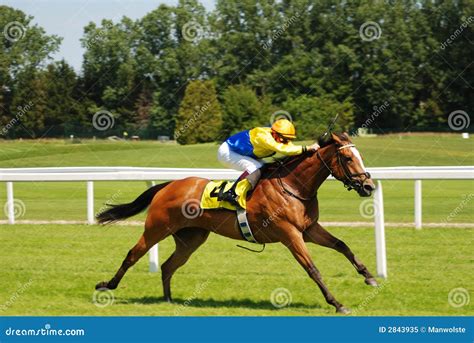 Horse racing stock image. Image of horse, gambling, velocity - 2843935