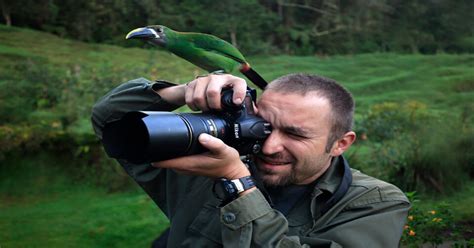 Environmental 的图像结果