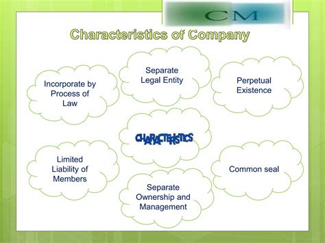 Meaning of company and its kinds | PPTX