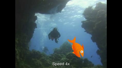 Image result for AVS4YOU Tutorial