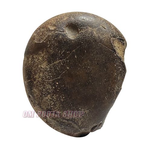 Hanuman Surya Shaligram Stone Shila Get online from India