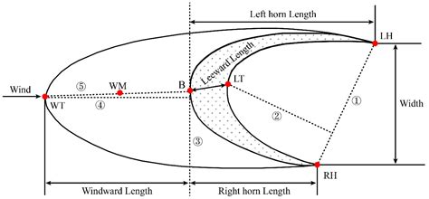 Real-Time Kinematic Positioning (RTK) for Monitoring of Barchan Dune ...