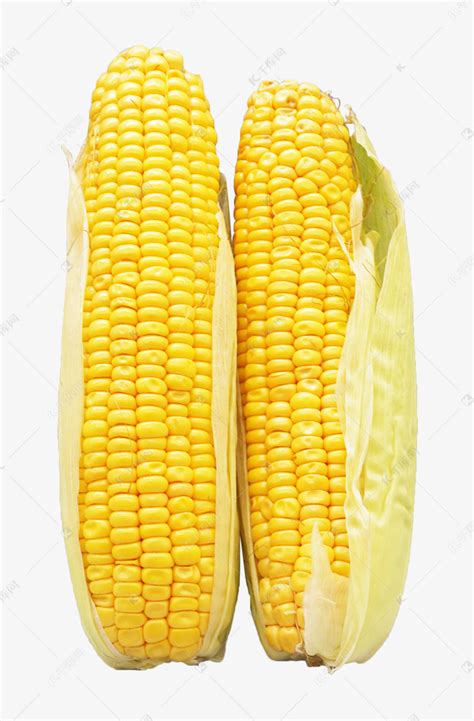 黄色玉米食物素材图片免费下载-千库网