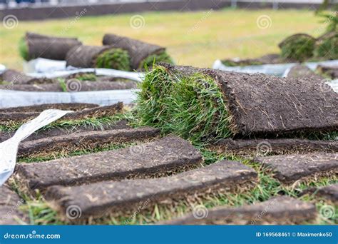 Turf Grass Roll, Green Grass Carpet in Roll for Lawn. Stack of Turf ...