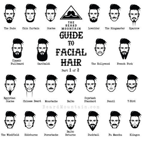 Review Of Different Types Of Beard Styles With Names Images ...