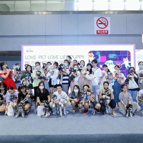 宠博会送什么礼物最新素材