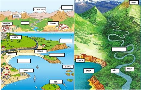 Image result for Selenium Automation Testing Examples