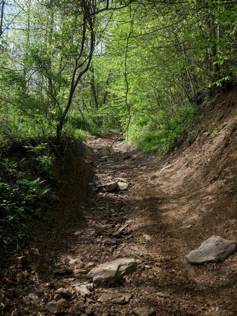 PC 92, West Virginia - GPS Trail Map, Conditions & Difficulty | onX Offroad