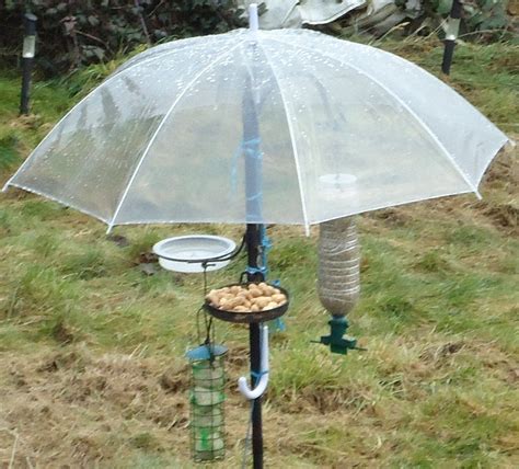 Easy Diy Squirrel Baffle