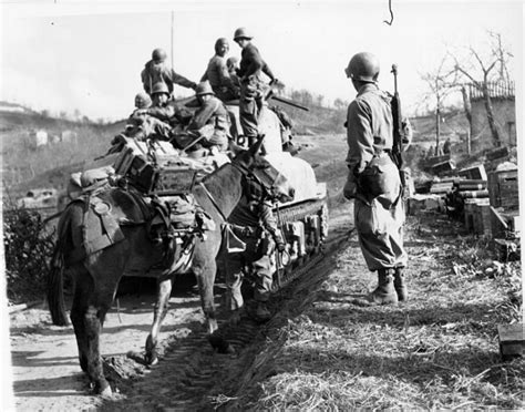 After WW2 The 10th Mountain Division Veterans Started America’s Ski ...