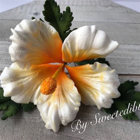 Image result for Gumpaste Hibiscus Tutorial