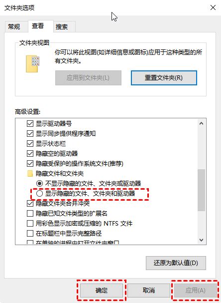 Program Data Folder Win 11 的图像结果