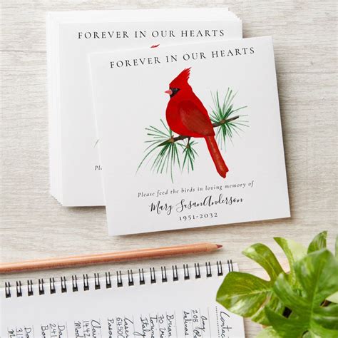 Cardinal Bird Seed Packet Memorial Funeral Envelope | Zazzle | Seed ...