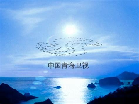 青海卫视2006LOGO演示图片 - 哔哩哔哩