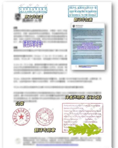 河南省人才交流中心办理深圳市在职人才引进呈报表盖章案例 - 服务案例 - 鸿雁寄锦