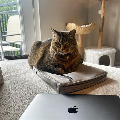 slams laptop shut til Monday. : r/fatcats