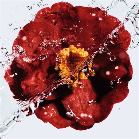 Chanel launches a new skincare and makeup line N°1 de CHANEL
