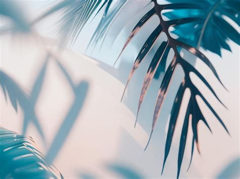 Professional Background 的图像结果