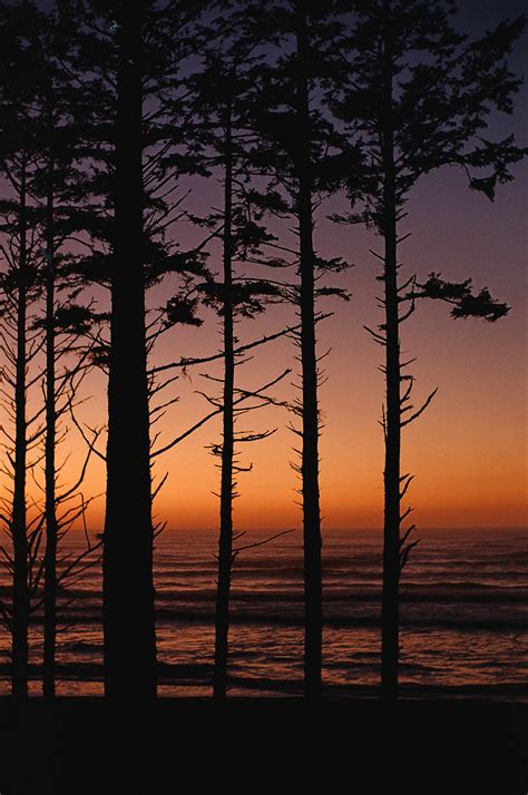Ruby Beach Sunset • Leica M6 • 50mm Summilux • Kodak Gold 200 • Memphis ...