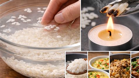 Is your rice real? Simple home checks for “plastic rice” and 5 recipes ...