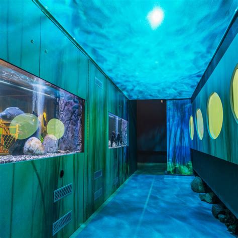 The Story of Agriculture | Meer