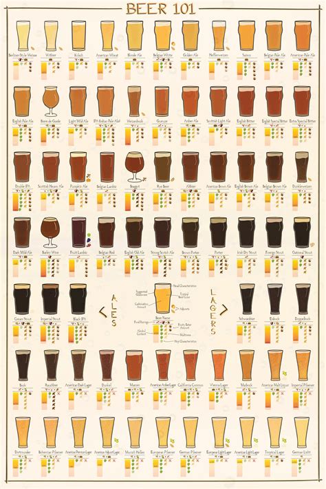 Types Of Beers Chart - Educational Chart Resources