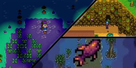 How To Cook Fish In Stardew Valley